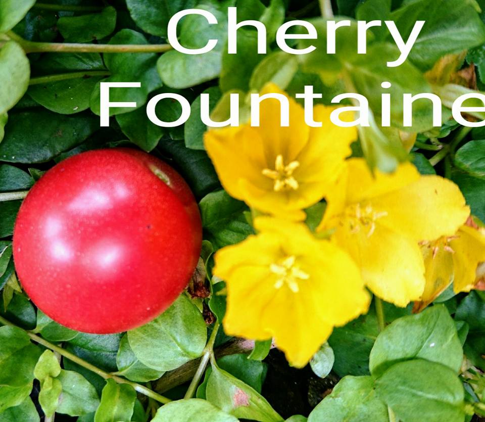 Cherry Fountain