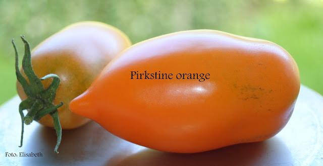 Pirkstine Orange