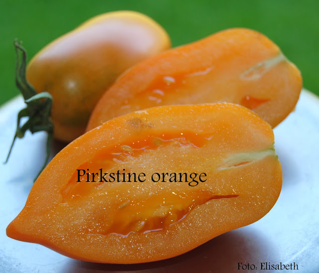 Pirkstine Orange