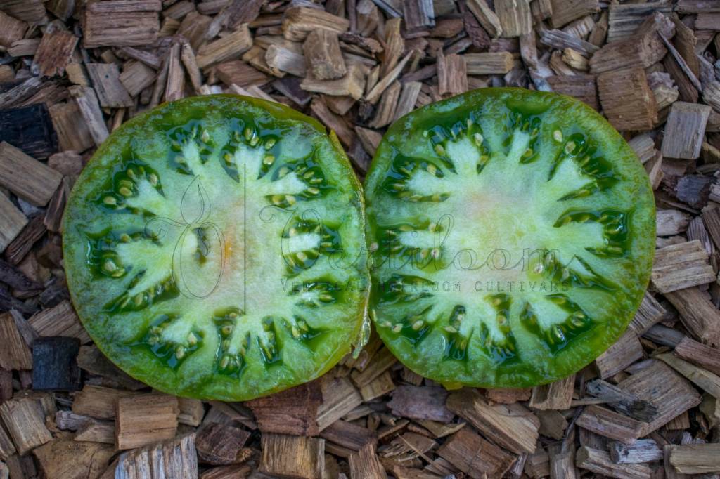 Marmande Verte