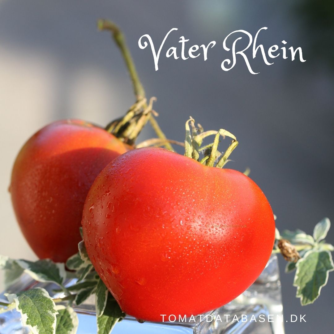 Vater Rhein