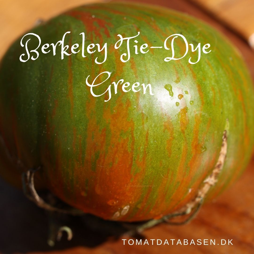 Berkeley Tie-Dye Green