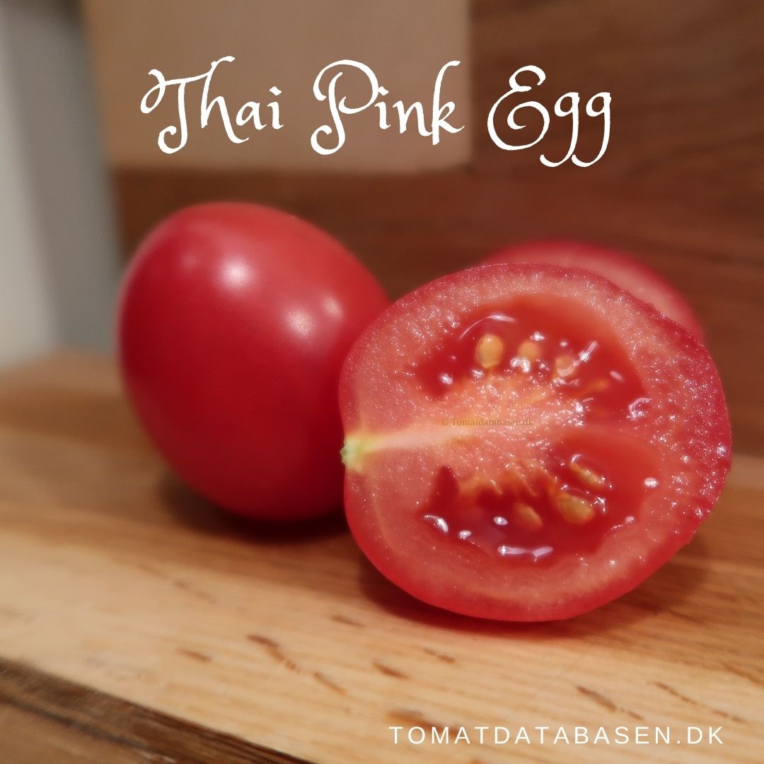 Thai Pink Egg