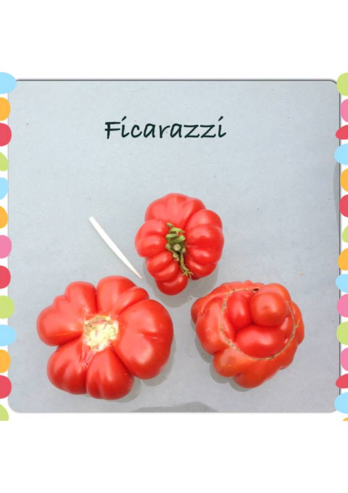 Ficcarazi