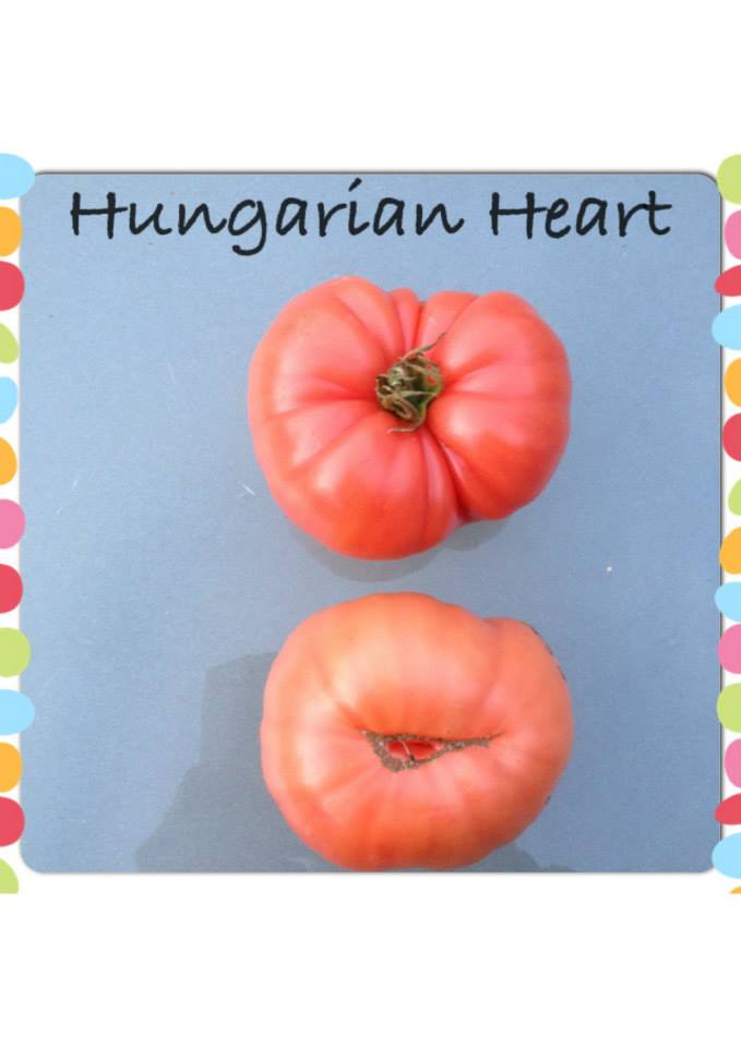 Hungarian Heart