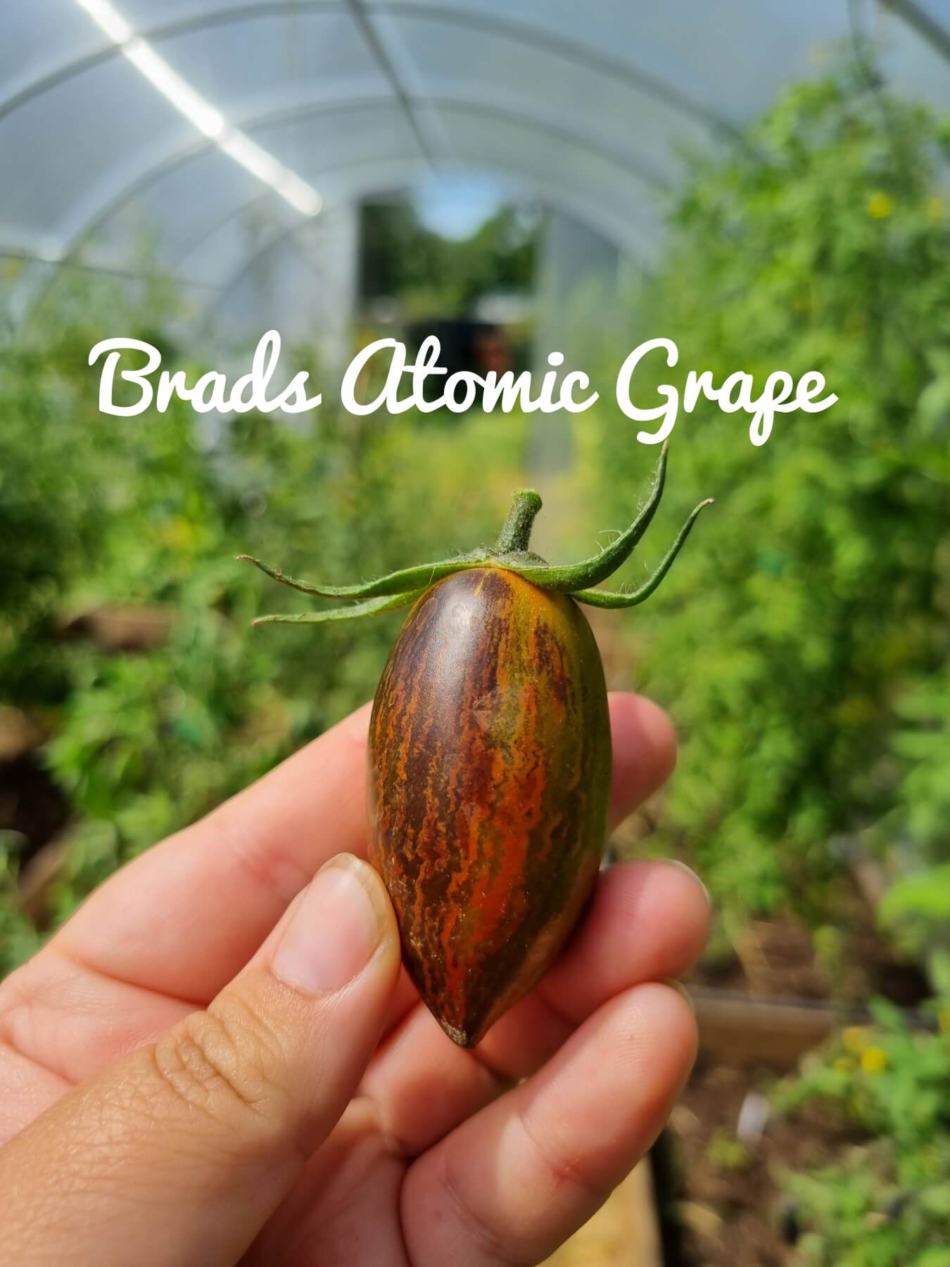 Brads Atomic Grape