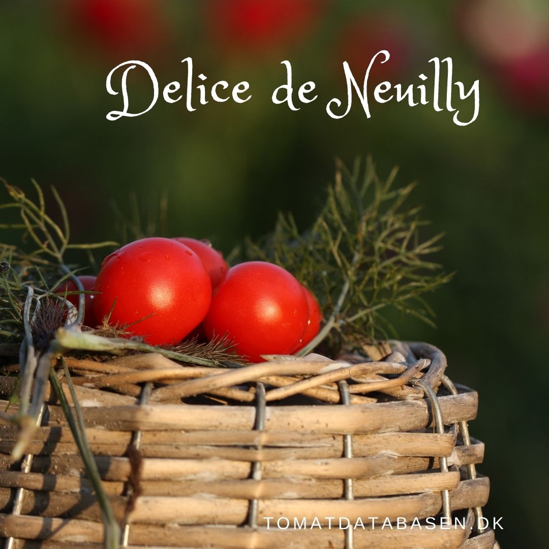 Delice de Neuilly