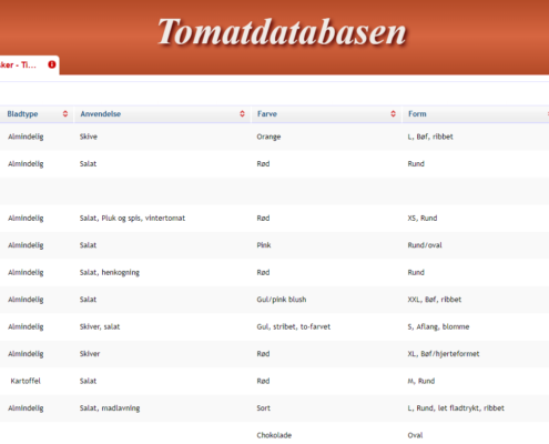 Udvælgelse af tomatsorter